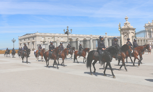 Palacio Real seřazený špalír dragounů