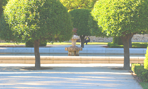 Parque del Retiro - pakr v Madridu 